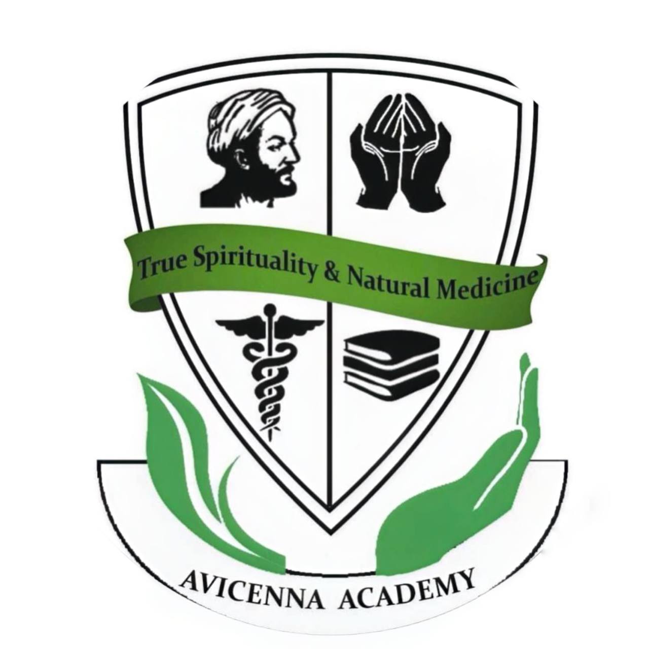 Avicenna Academy